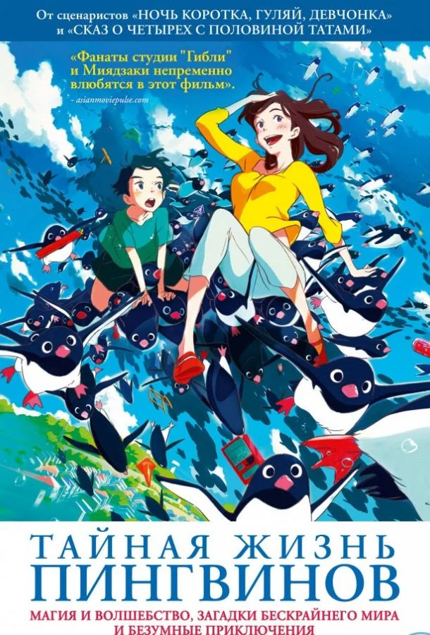 Тайная жизнь пингвинов (2018) смотреть онлайн